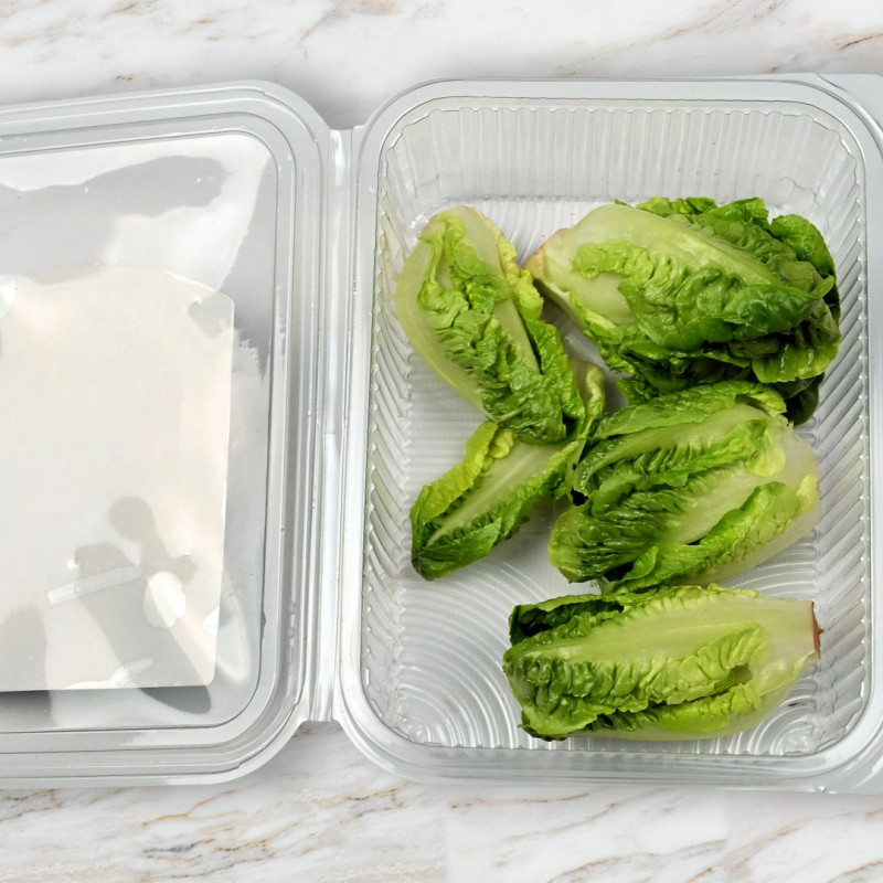 Mini Yedikule Marul, Yeşil (4'lü paket)