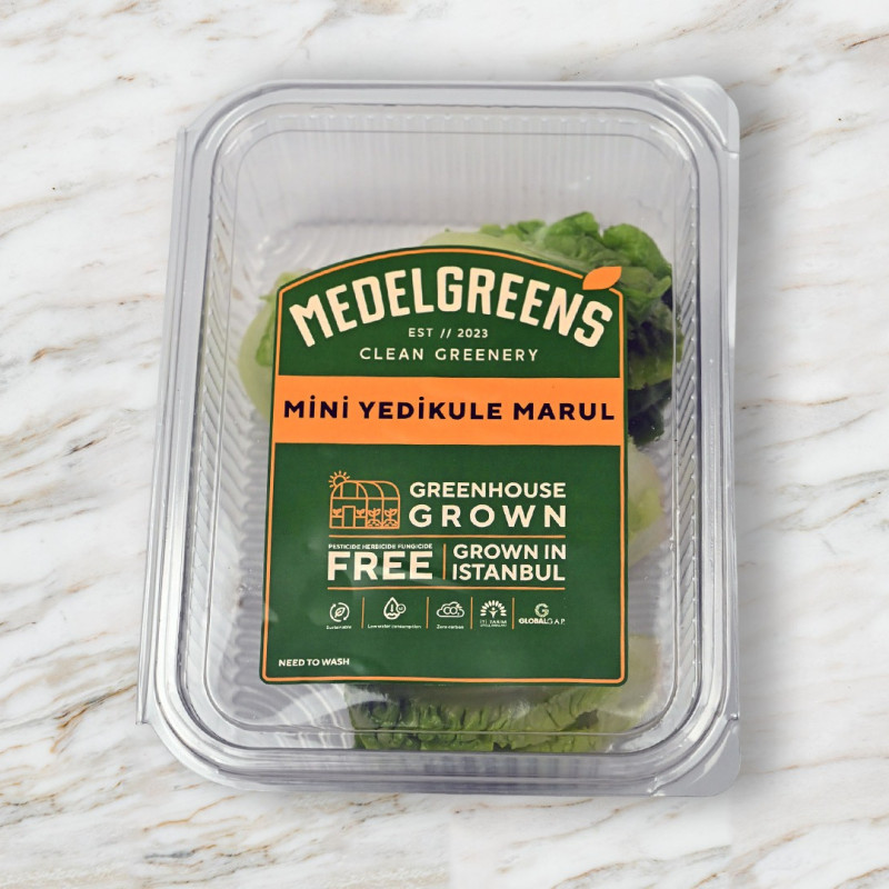 Mini Yedikule Marul, Yeşil (4'lü paket)