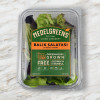 Balık Salata